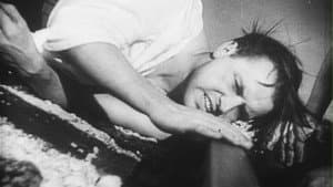 Das Stahltier — foto 1
