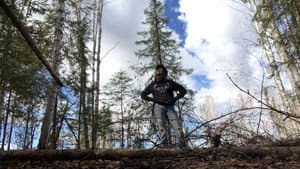 K'i Tah Amongst the Birch — foto 1