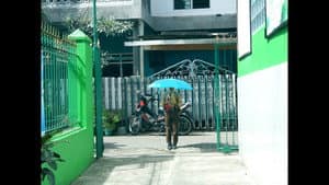 Payung Biru — foto 1