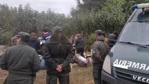 Las panteritas — foto 2