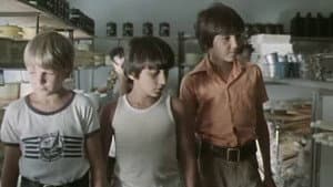 Подарок — foto 1