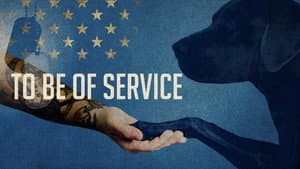 To Be of Service — foto 2