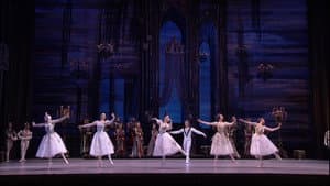 Tchaikovsky - Swan Lake (The Bolshoi Ballet Collection) — foto 10