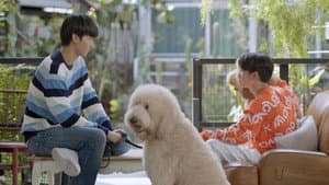 Episodio 5