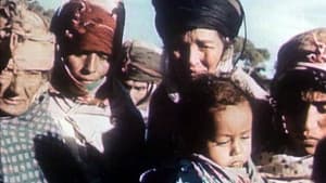 Algérie en flammes — foto 3
