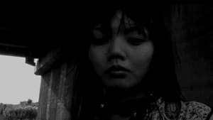 pb — foto 3