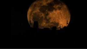 The Werewolf of Washington — foto 3