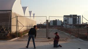 Ojos al Sol y a la Sombra — foto 2