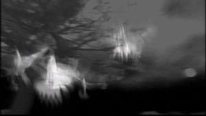 The Passing — foto 1