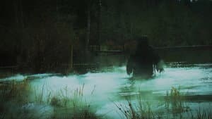 Swamp Freak — foto 1
