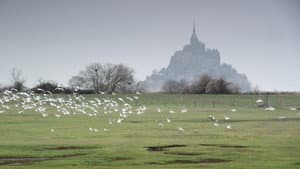 Mont Saint-Michel : le labyrinthe de l’archange — foto 4