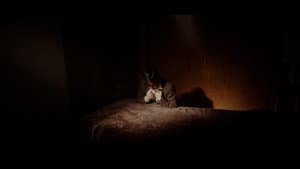 Luz de Penumbra — foto 2