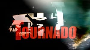 The All-American Rejects: Tournado — foto 3