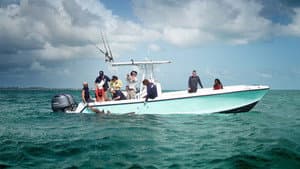 Sharks of the Bermuda Triangle — foto 5