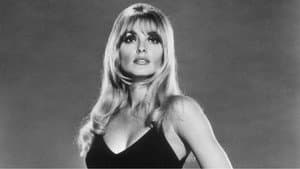All Eyes on Sharon Tate — foto 3