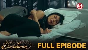Episodio 25