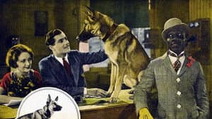The Outlaw Dog — foto 1