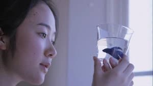 リップヴァンウィンクルの花嫁 — foto 3