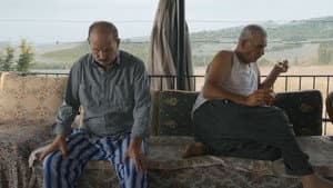 Domates Biber Depresyon — foto 1