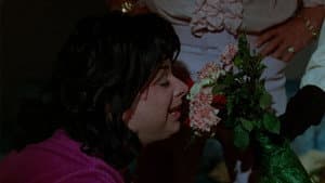 Polyester — foto 12