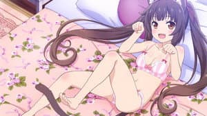 Nekopara — foto 5