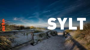 Sylt - Wellen, Wind und Watt — foto 10