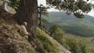 Il buco — foto 3