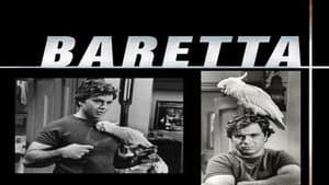 Baretta — foto 4
