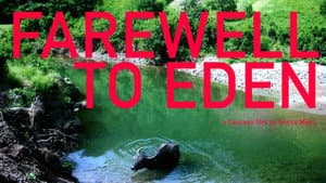 Shelter: Farewell to Eden — foto 2
