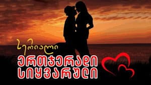 ერთჯერადი სიყვარული — foto 1