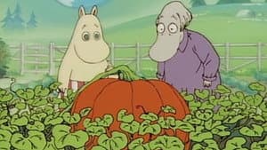 Episodio 49
