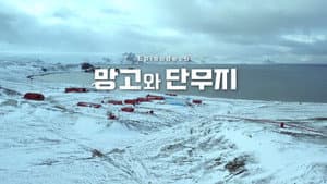 Episodio 6