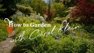 How to Garden With Carol Klein — foto 1