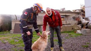 Episodio 4