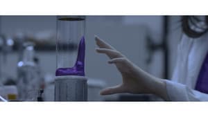 Symbiosis — foto 1