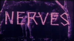 Nerven — foto 1