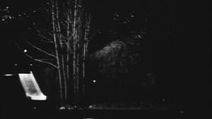 Nocturne — foto 2