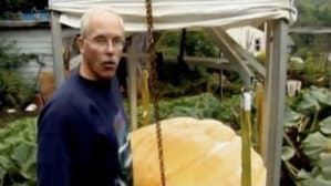 Lords of the Gourd — foto 2
