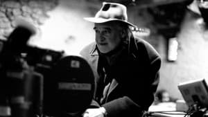 Tarr Béla: I Used to Be a Filmmaker — foto 1