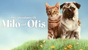 Las aventuras de Milo y Otis — foto 7