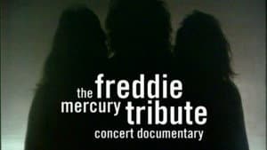 Queen - The Freddie Mercury Tribute Concert 10th Anniversary Documentary — foto 2
