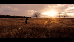 The Lonesome Pony — foto 5