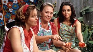 Looking for Alibrandi — foto 8