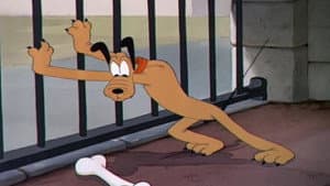 Pluto at the Zoo — foto 1