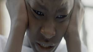 LAMAR — foto 1