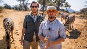 I Sydafrika går det godt — foto 1