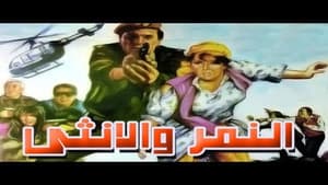 النمر والأنثى — foto 4
