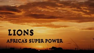 Lions: Africa's Super Power — foto 2
