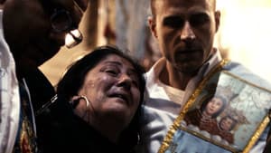 Anatomia del miracolo — foto 1