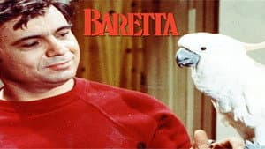 Baretta — foto 3